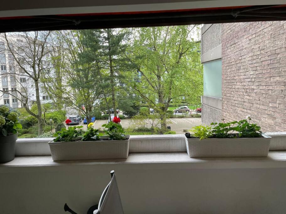 Gemutlich Und Moderne In Düsseldorf