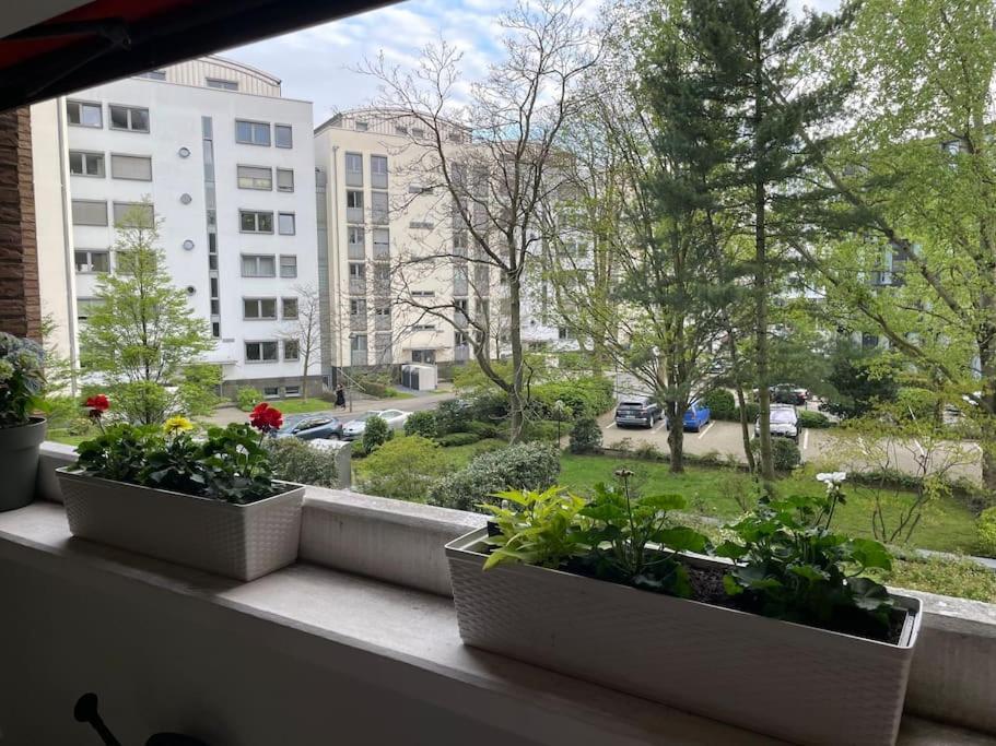Gemutlich Und Moderne In