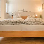 Altstadt Apartment Centralissimo