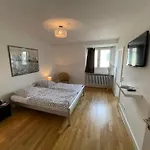 Luxury Rooftop Loft With River View 10Min To City