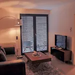 Bluestone Boarding Apartments