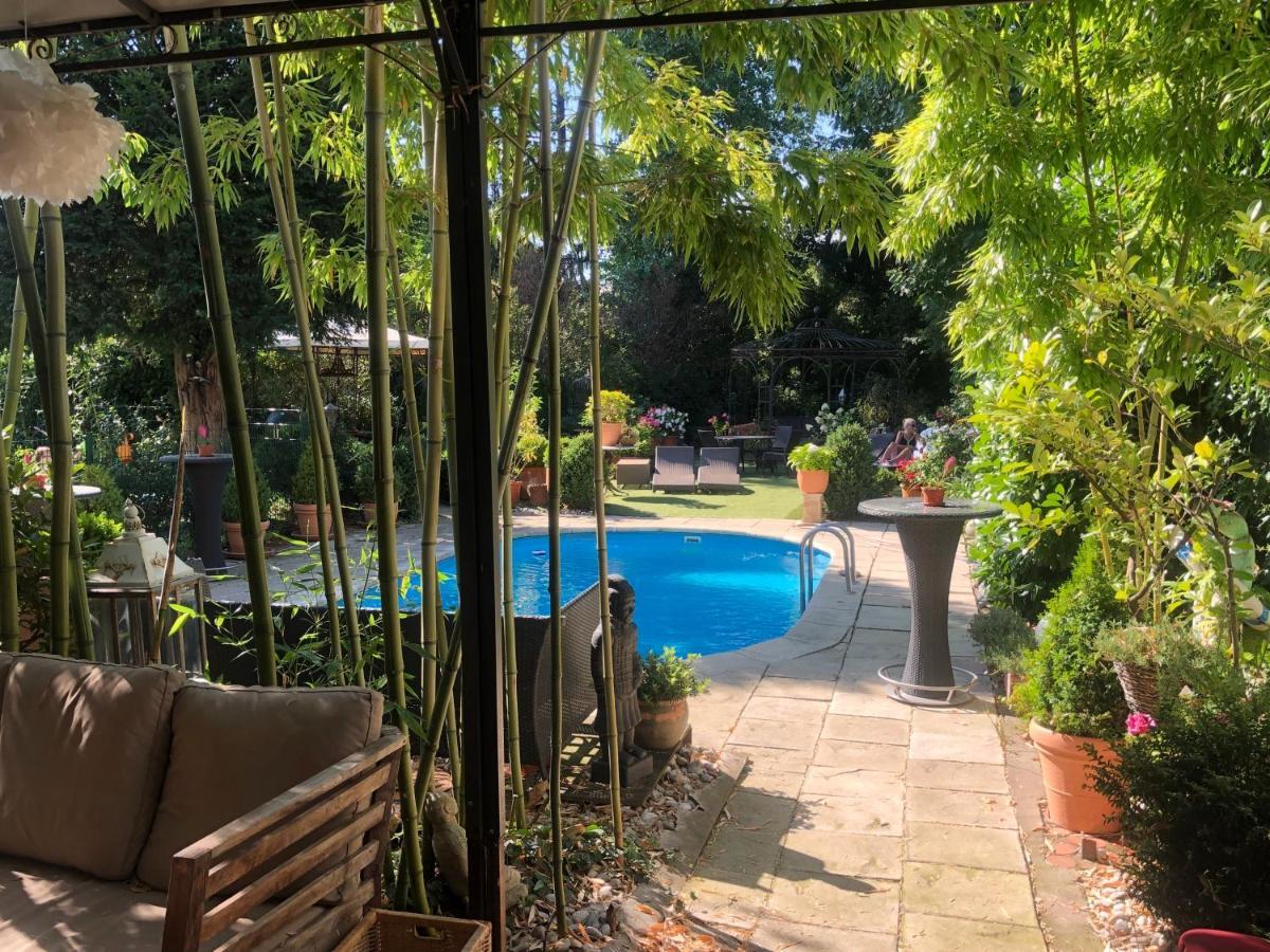 Ashley's Garden