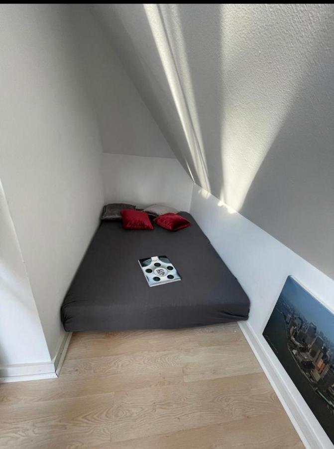 Luxury Rooftop Loft With River View 10min To City Düsseldorf