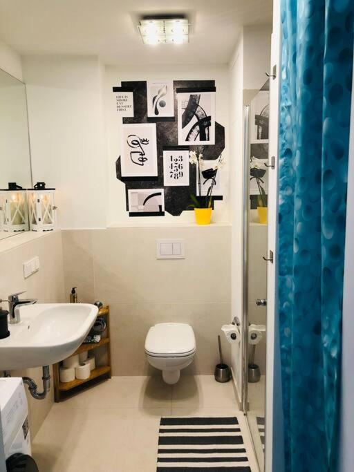 Lux 2bd W/ Rooftop Terrace And Rhine Views! Appartement