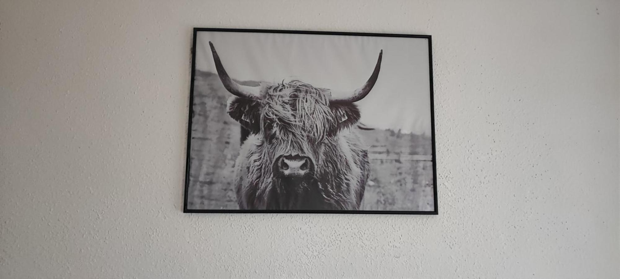 Zum Flughafen Appartement Düsseldorf