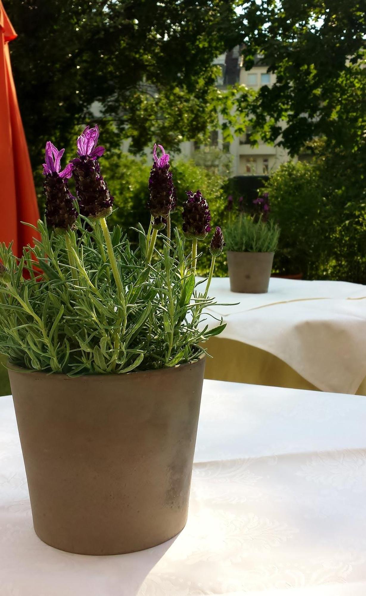Hotel Mingarden 4*