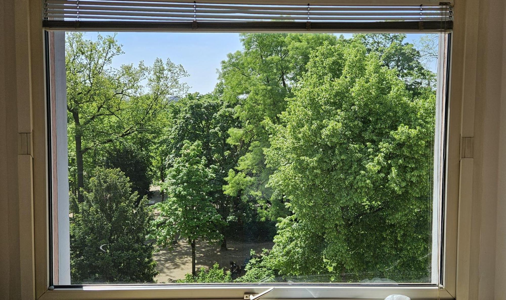 Central Park Flat Am Hofgarten Apartment