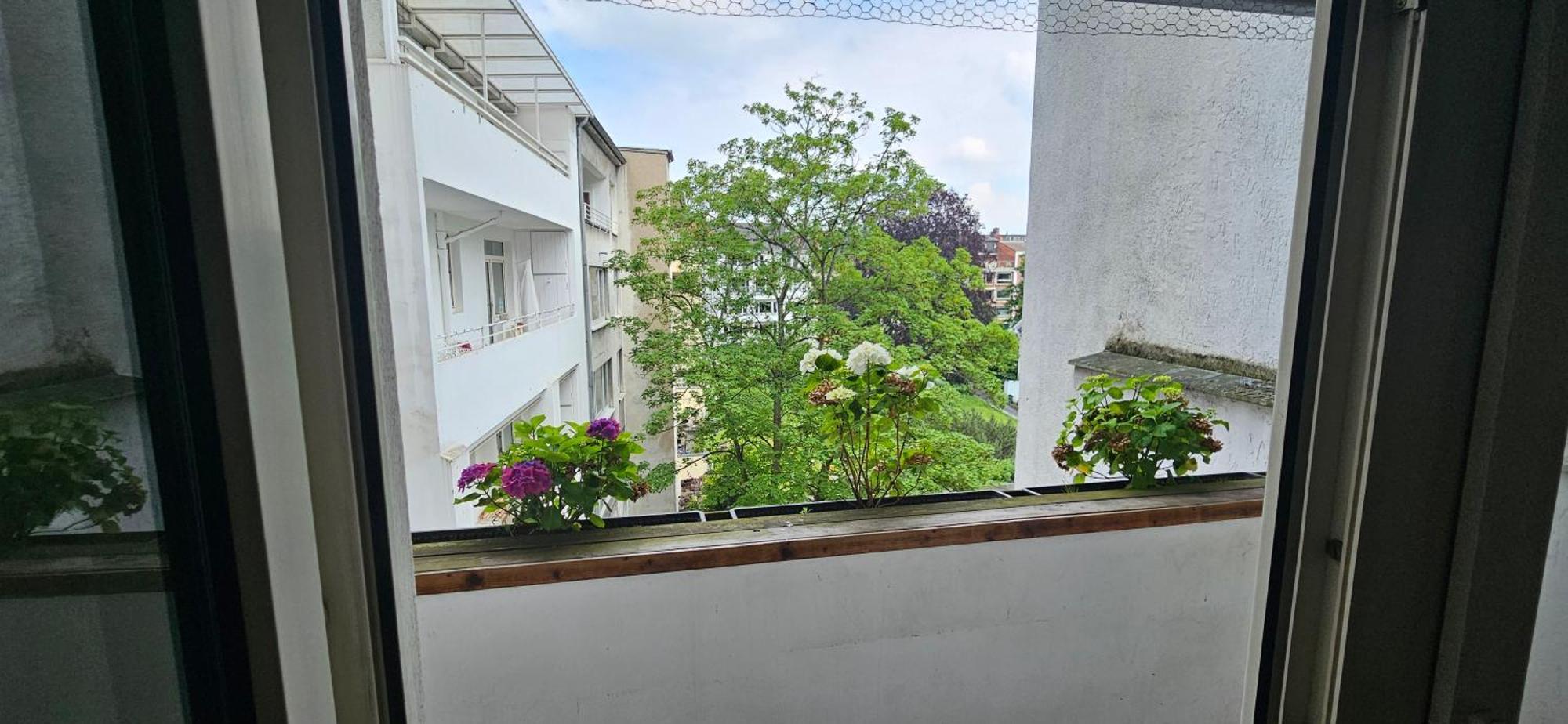 Central Park Flat Am Hofgarten Apartment Dusseldorf