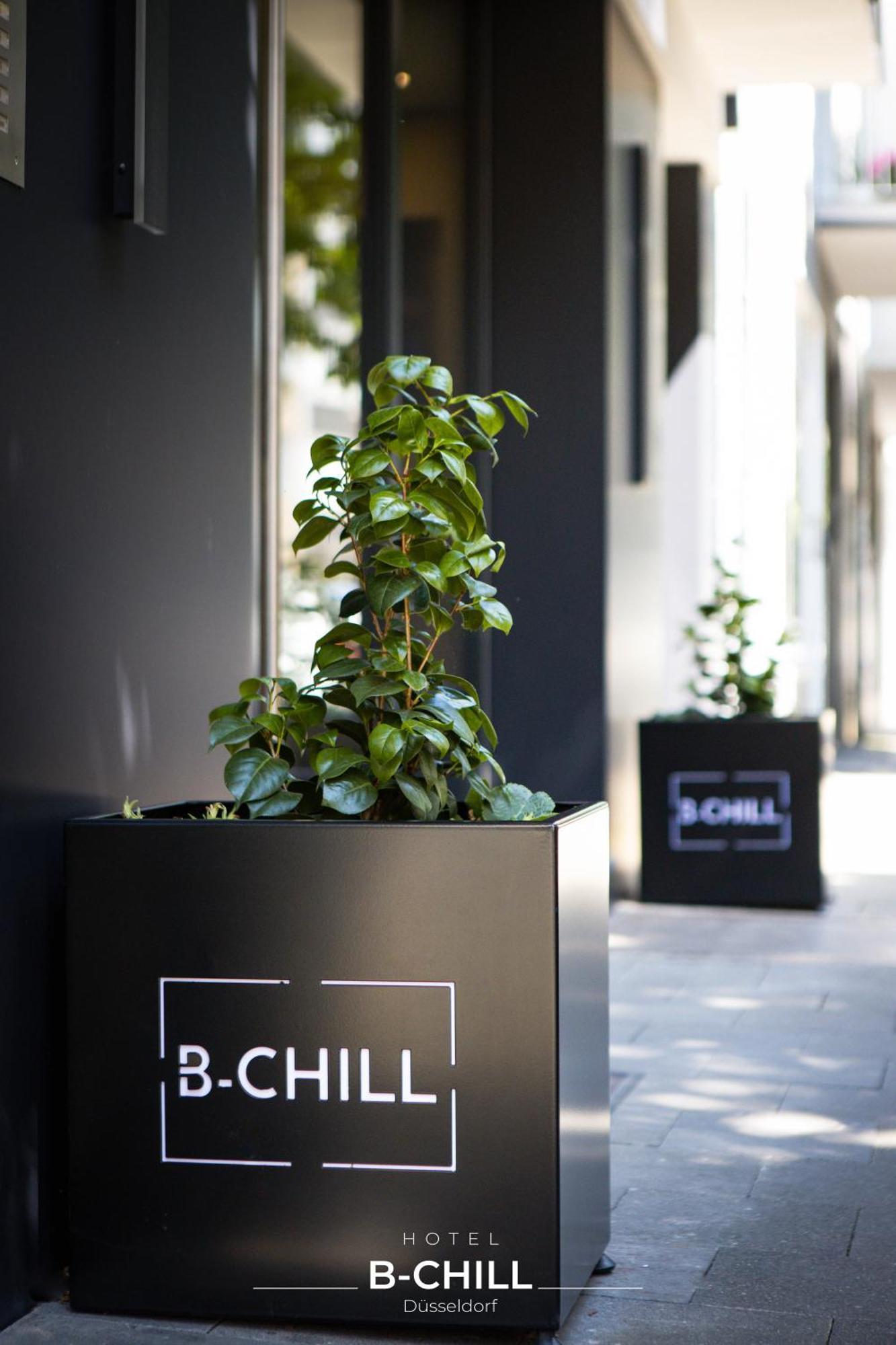 B-chill 4*