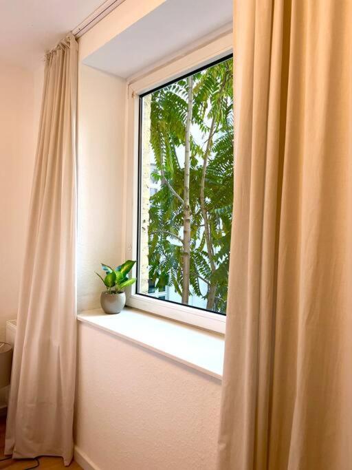 Apartamento New! Modern
