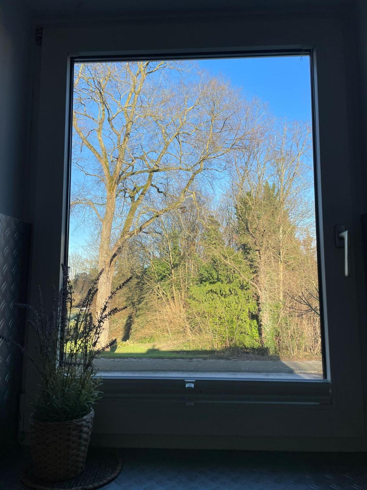 Ideale In Duesseldorf-nord