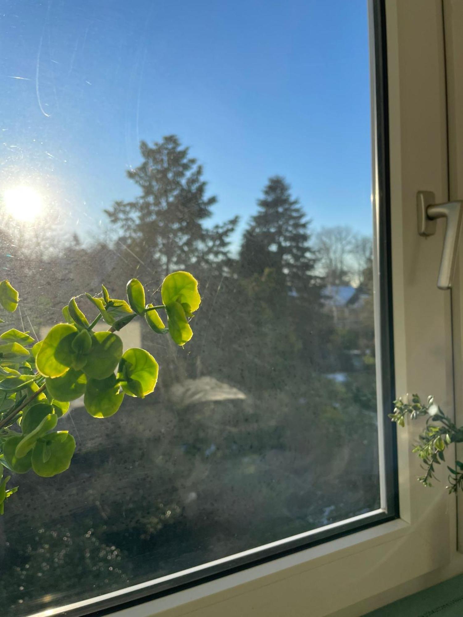 Apartamento Ideale In Duesseldorf-nord Düsseldorf