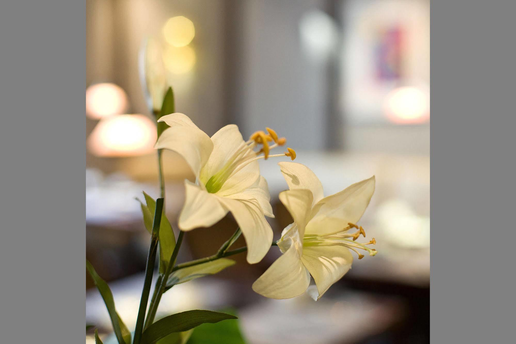 Hotel Gildors Atmosphere