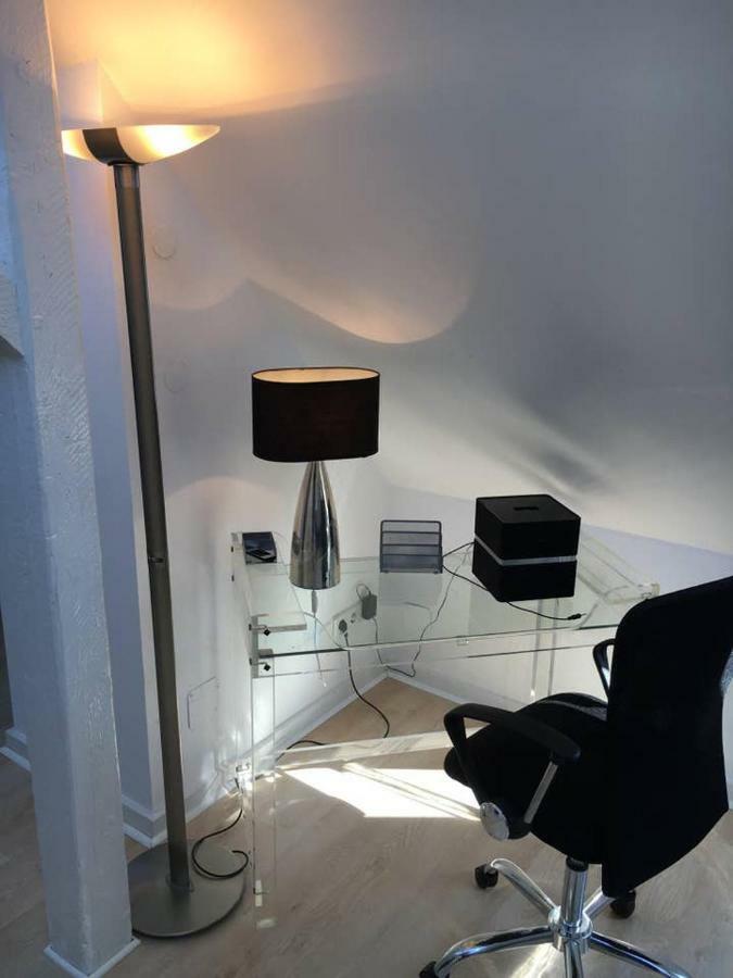 Appartement Luxury Rooftop Loft With River View 10min To City
