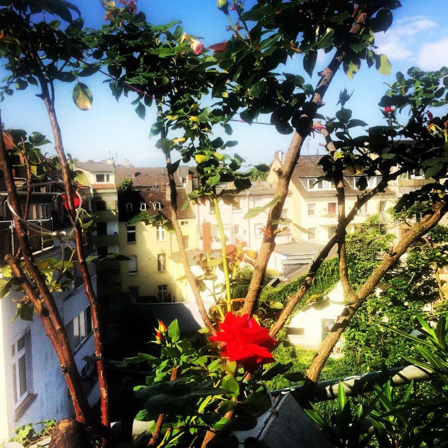 In Pempelfort - Apartment