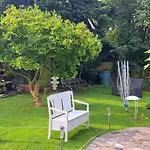 Bungalow An Der Tanne Mit Ueberdachter Terrasse