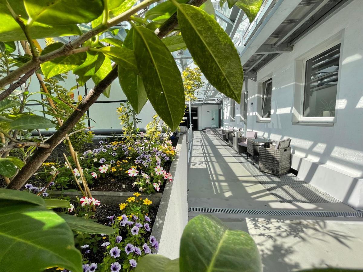 City Lounge 3*
