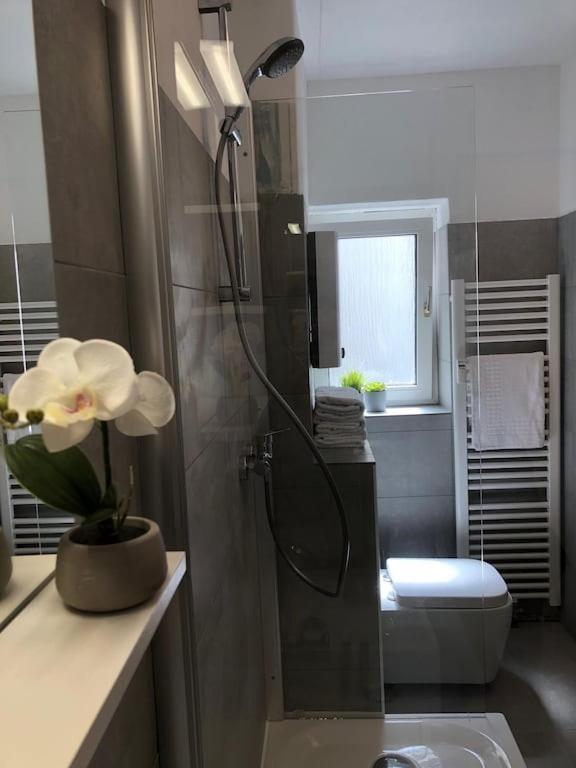 Studio M - Stylish Central City Business For 5 Guests Apartment