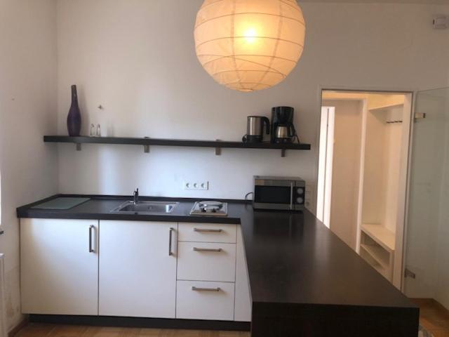 E - Quiet Business One Bedroom For 3 Guests Apartment *