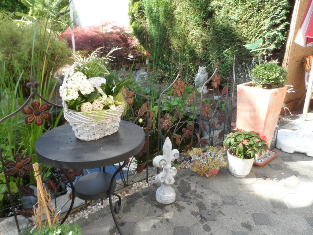 Studio Homestay *