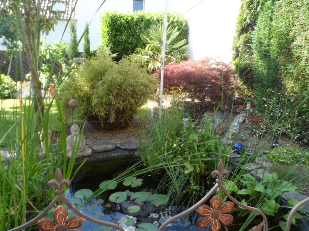 Homestay Studio Dusseldorf