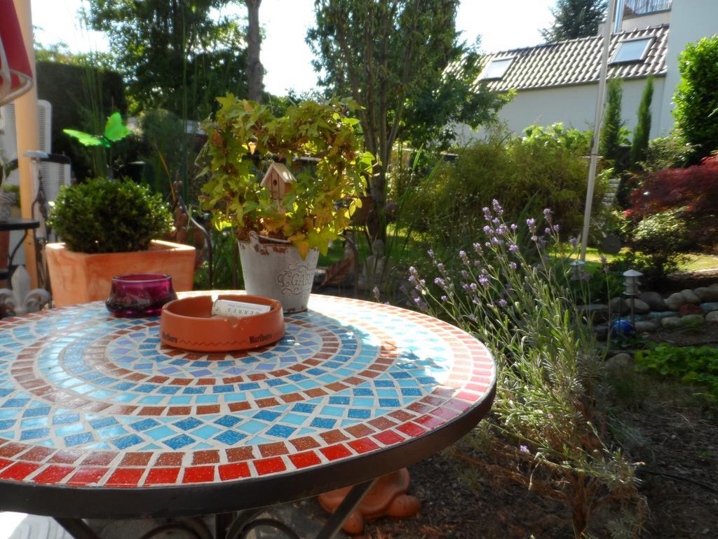 Homestay Studio
