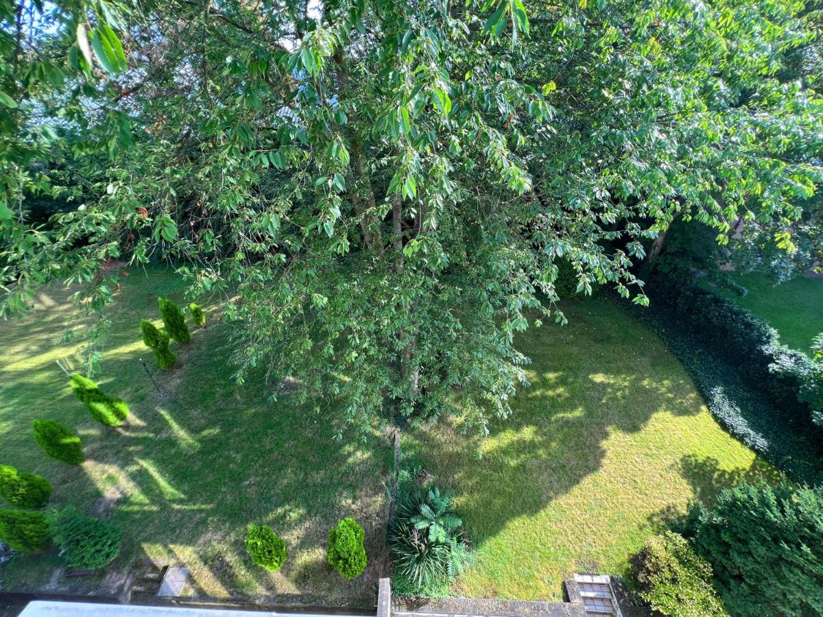 Mit Balkon Am Rhein