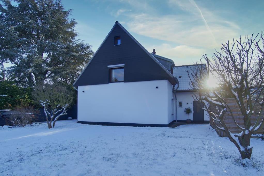 Quiet 2-room With Separate Entrance Apartamento Düsseldorf