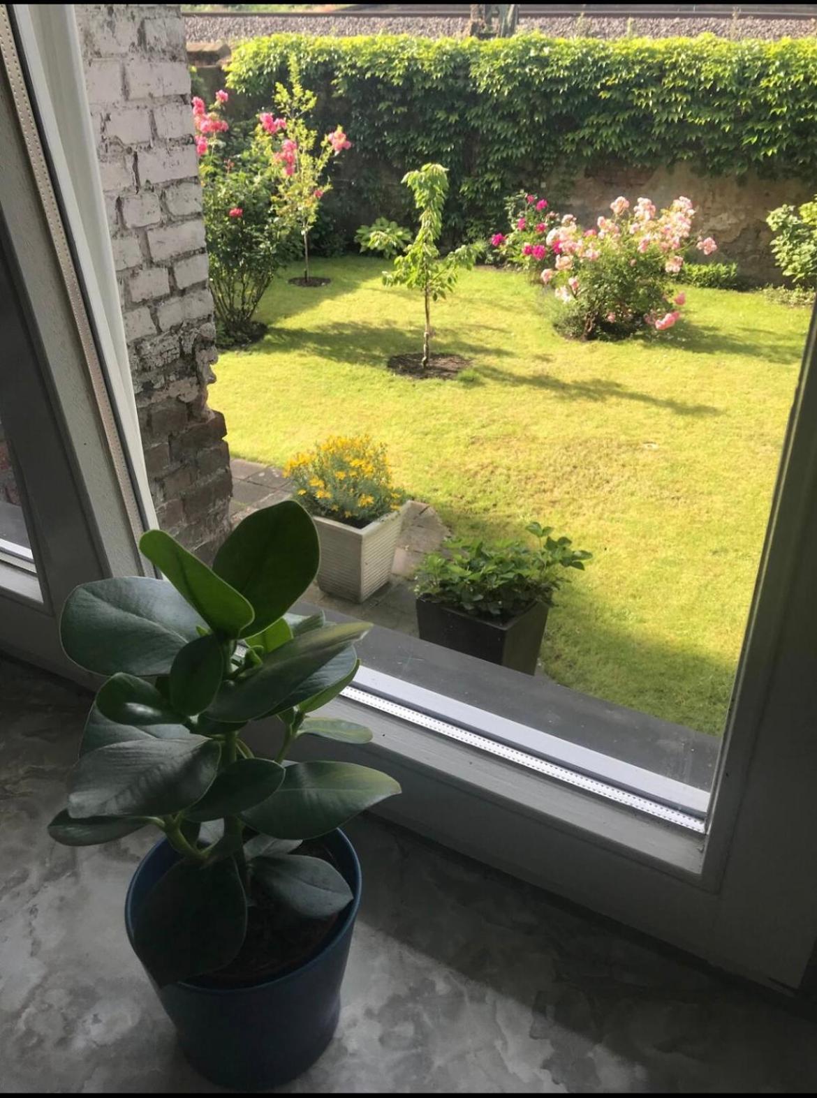 Apartment, Parterre, Fuer 3 Gaeste, Zentral Gelegen, Mitsubishi Halle * Dusseldorf