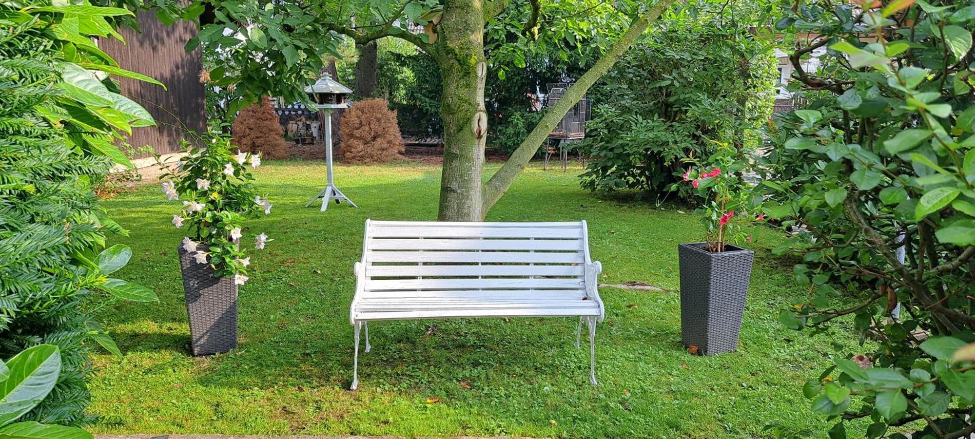 Apartment An Der Tanne Mit Ueberdachter Terrasse *
