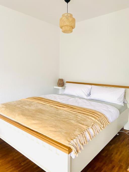 And Calm In Apartamento *