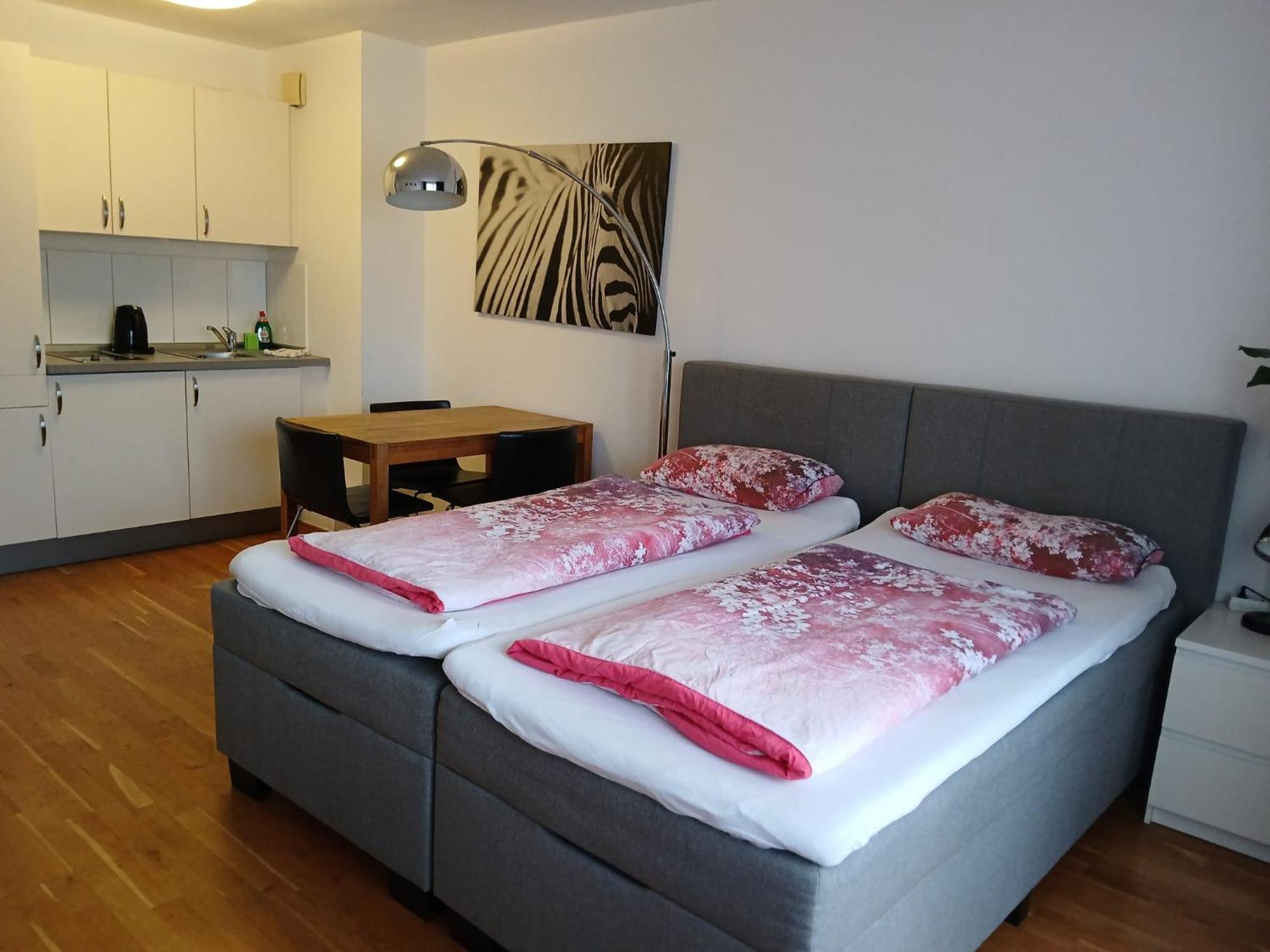 Apartment Jahnstrasse
