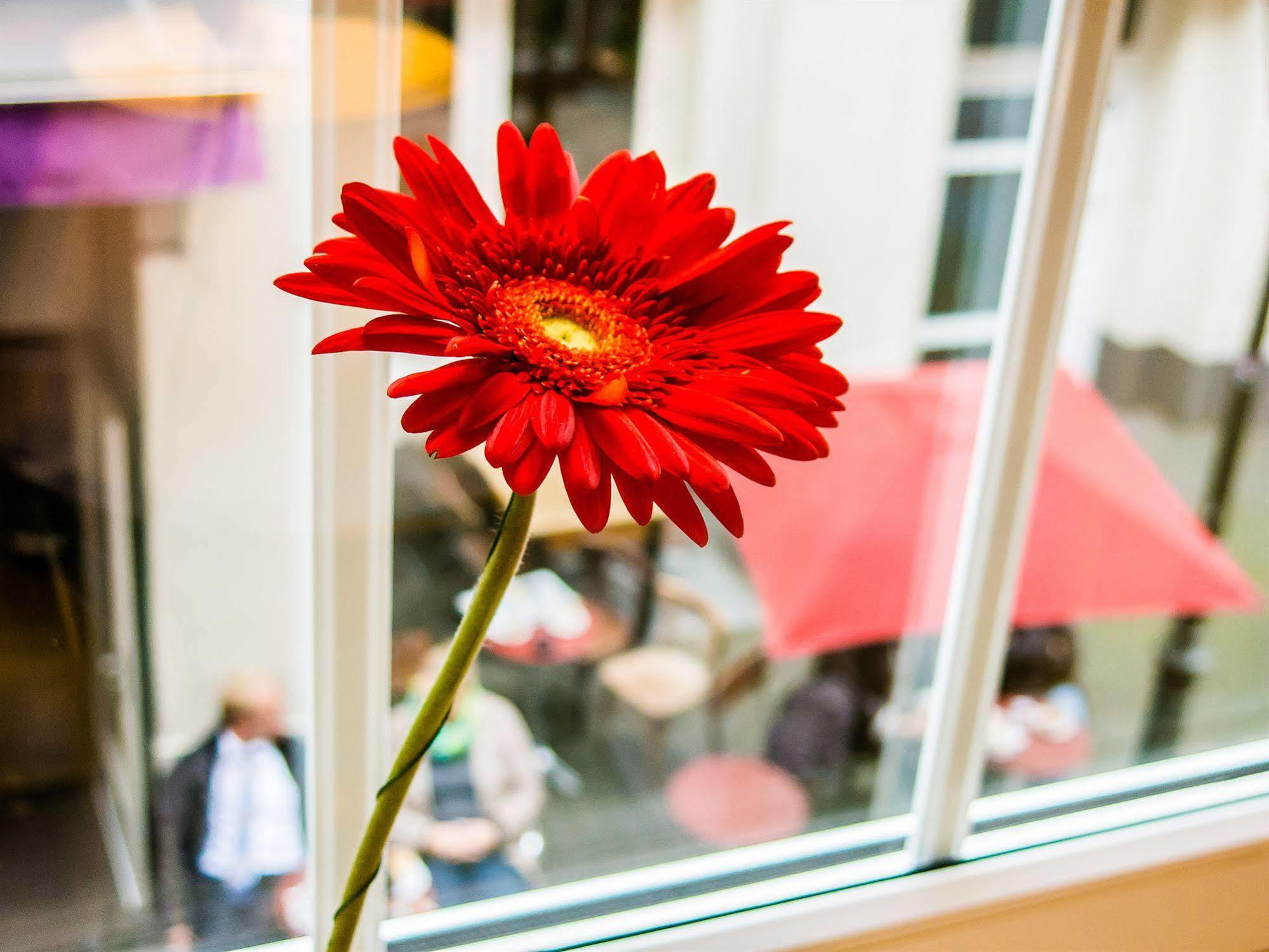 The Soho Altstadt Self Check In Hotel 3*