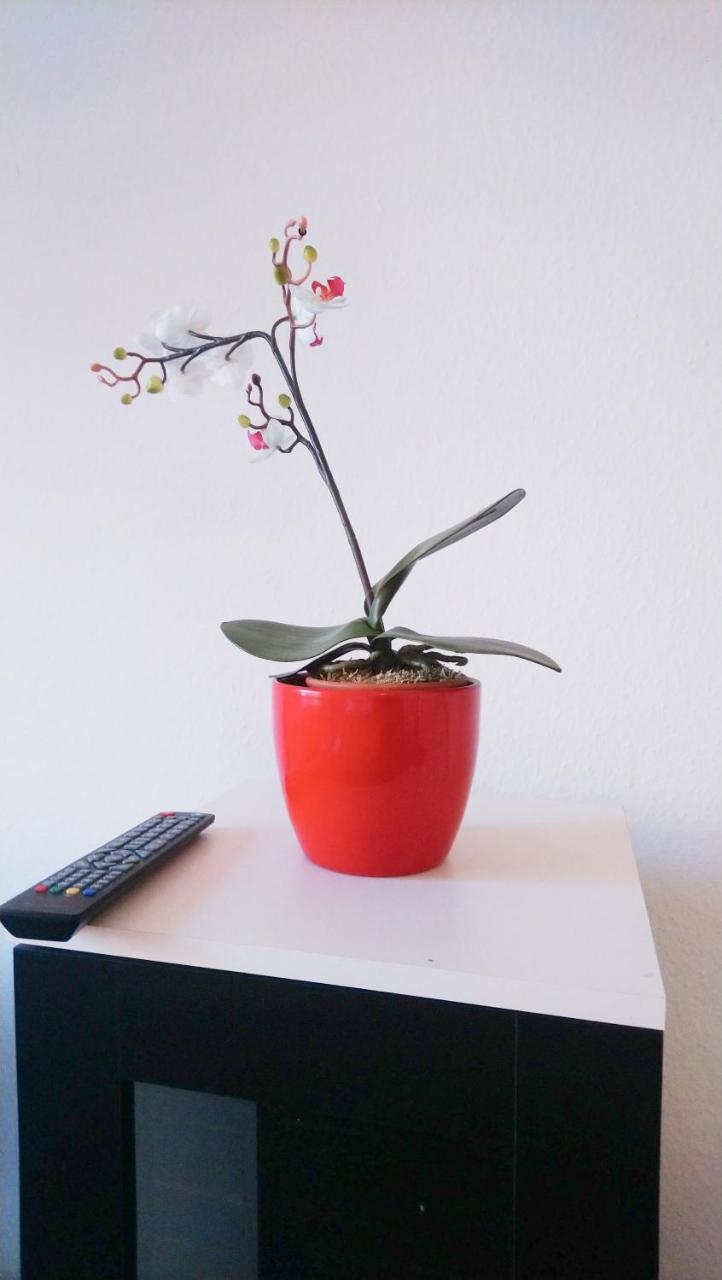 Apartamento Avi Bismarckhouse Düsseldorf
