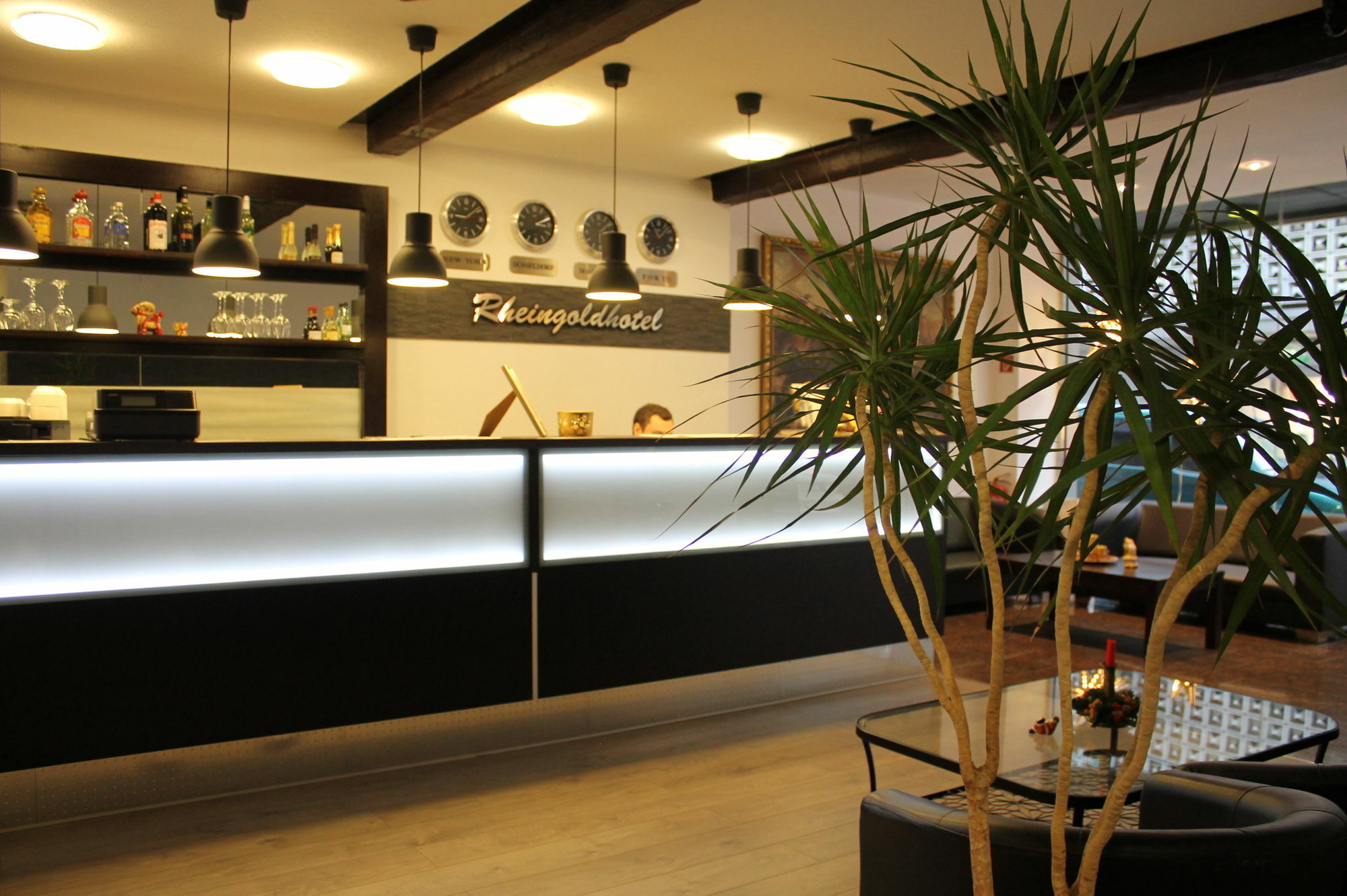 Rheinmetropole Hotel 3*