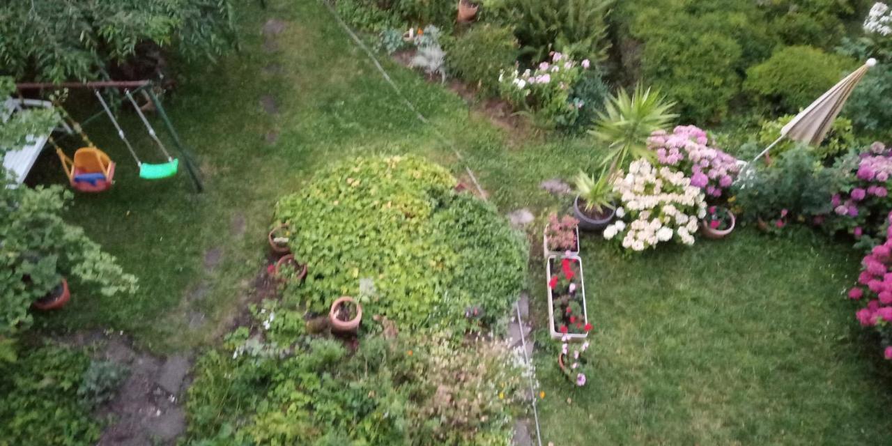 Apartment Oberkassel Garden *