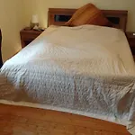 Top! Zimmer Am Rhein Und Altstadt
