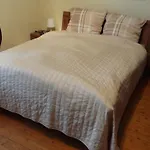 Top! Zimmer Am Rhein Und Altstadt