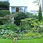 Luxurioeses Doppelzimmer In Oberkassel