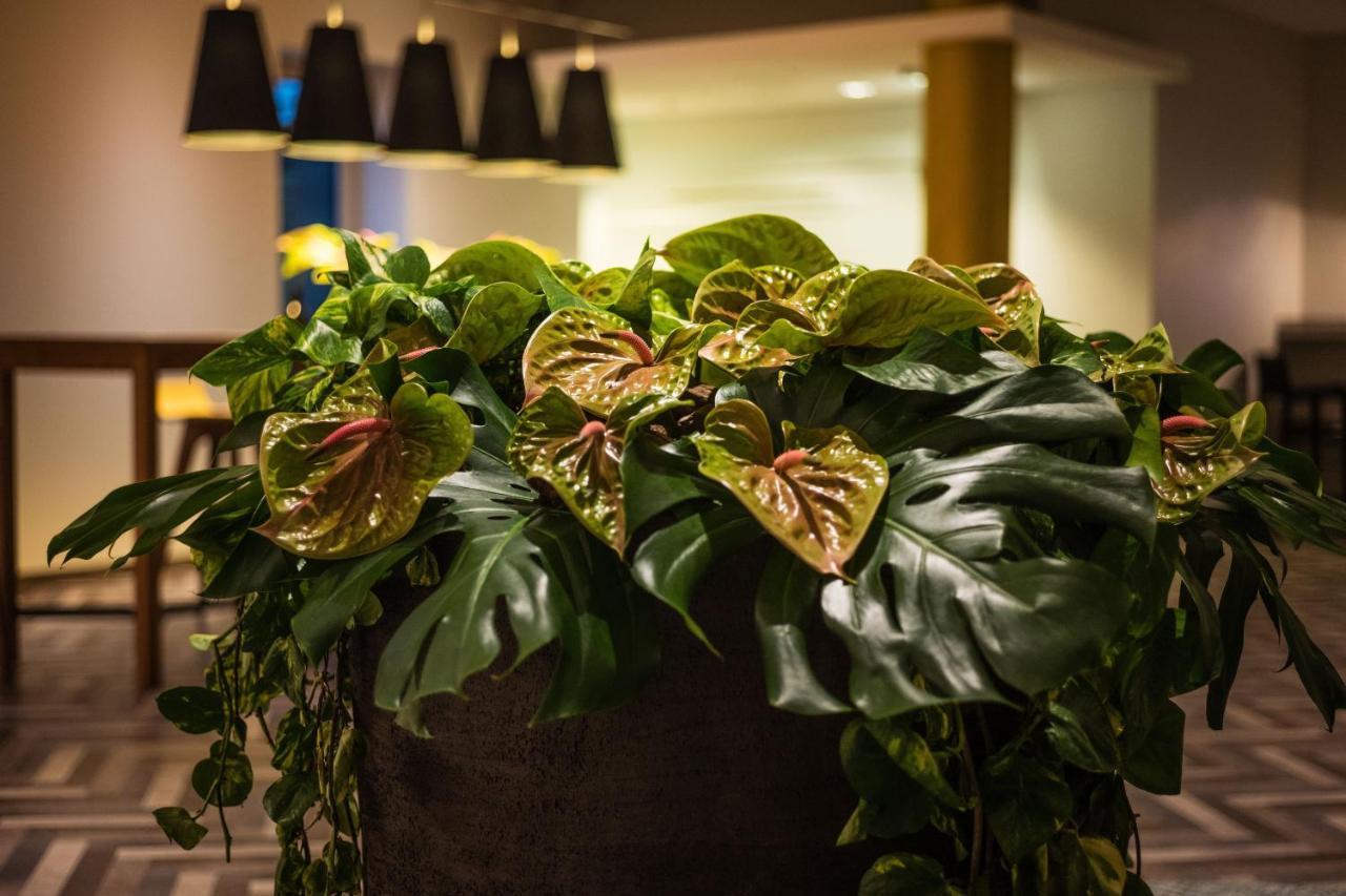Sheraton Airport Hotel 4*