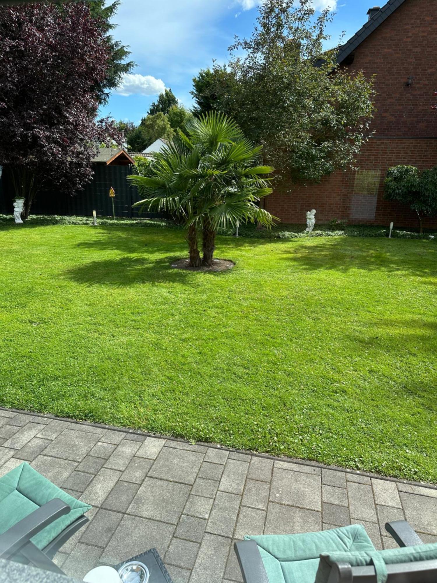 Auszeit Apartment Düsseldorf