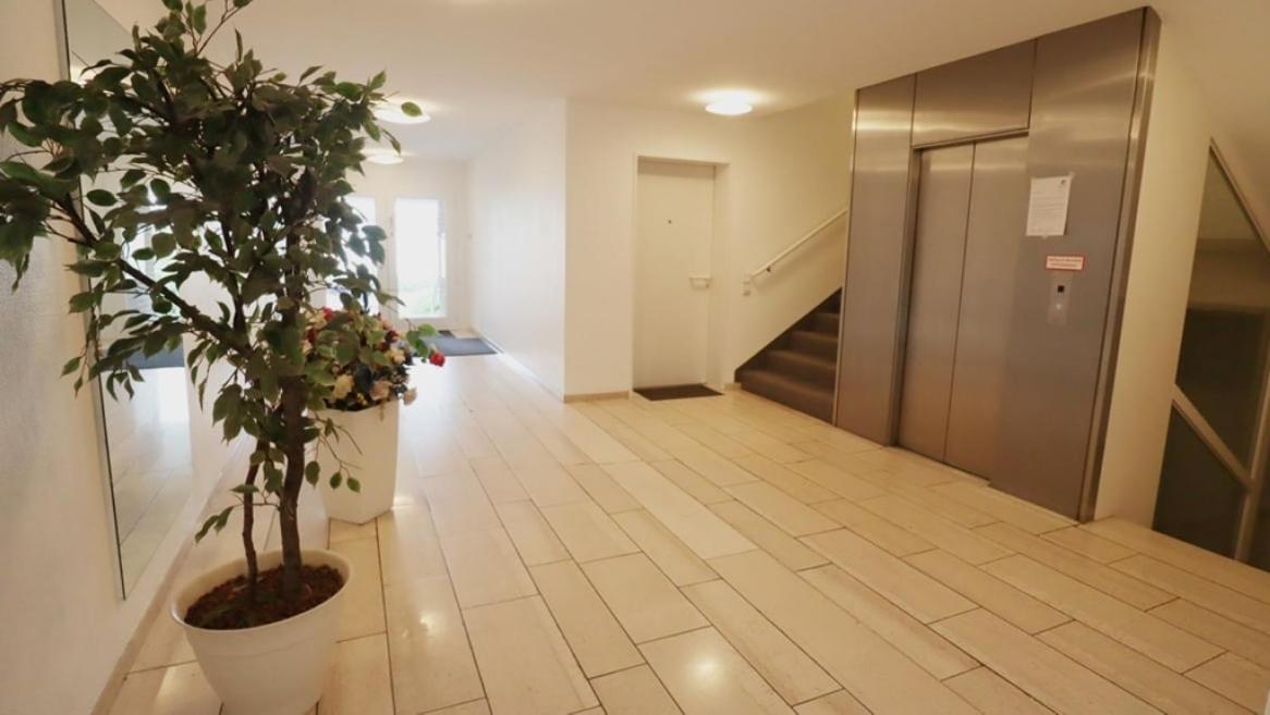 Apartment Perfect Bright Near Rhine *
