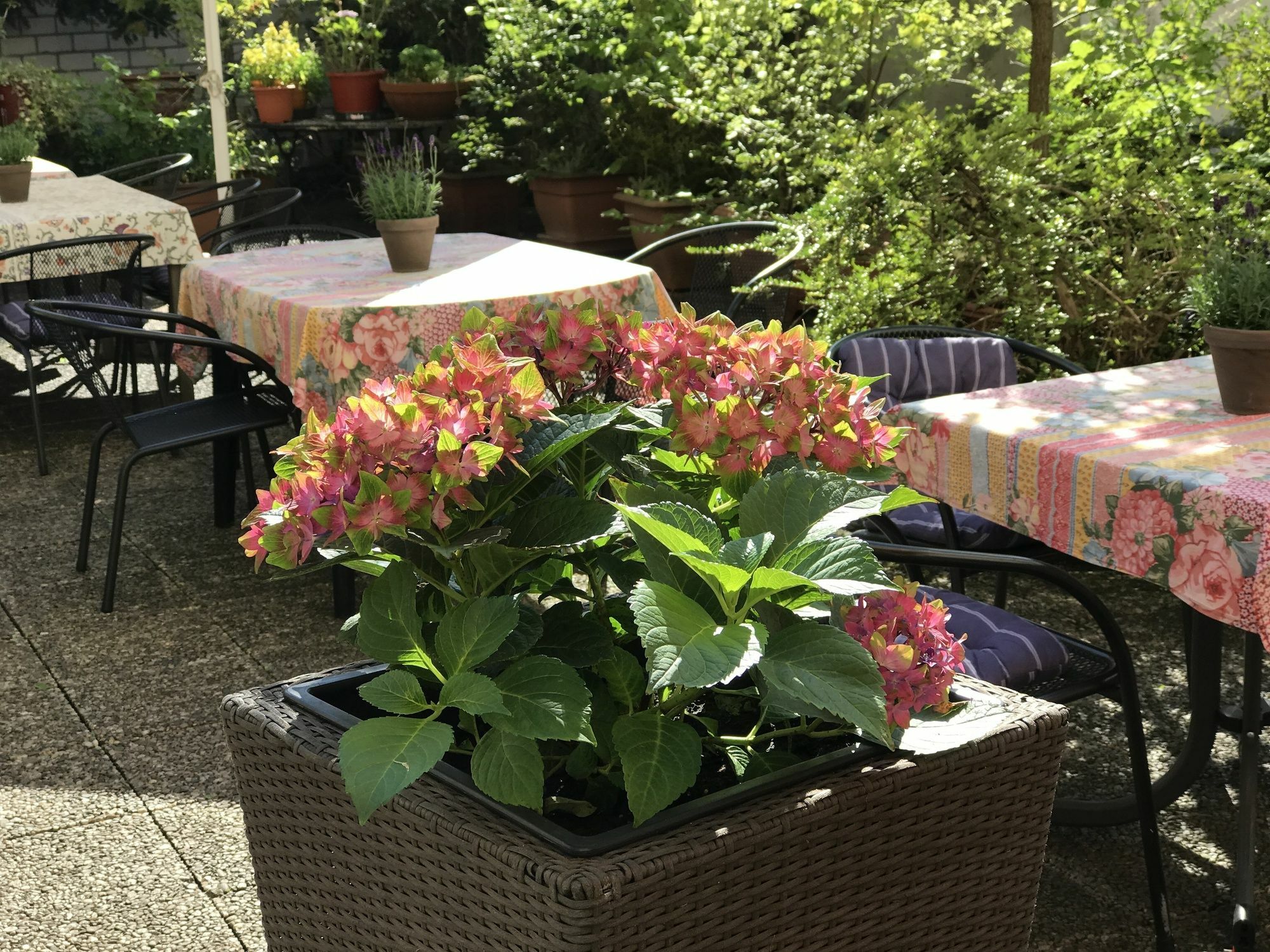 Cascade Superior 3* Düsseldorf