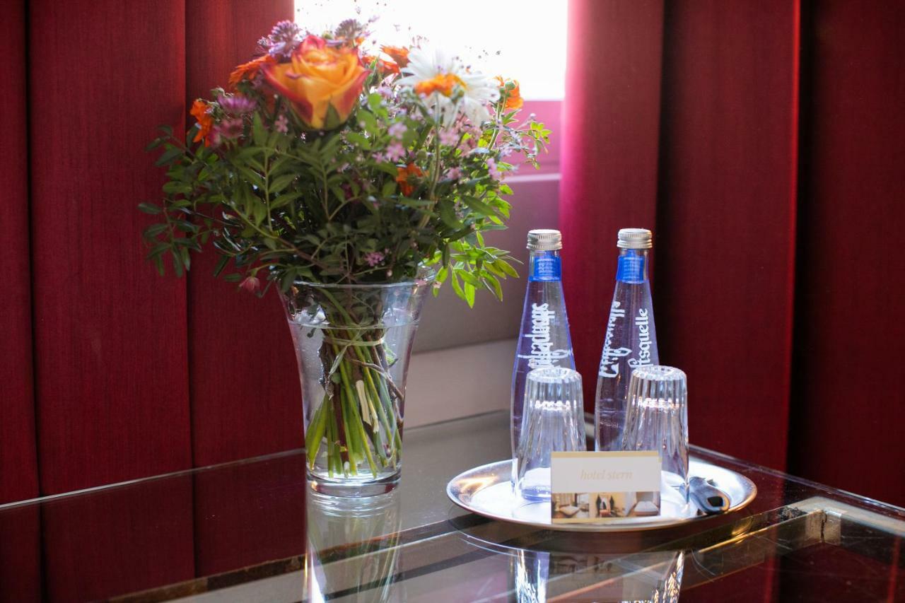 Hotel Stern 3*