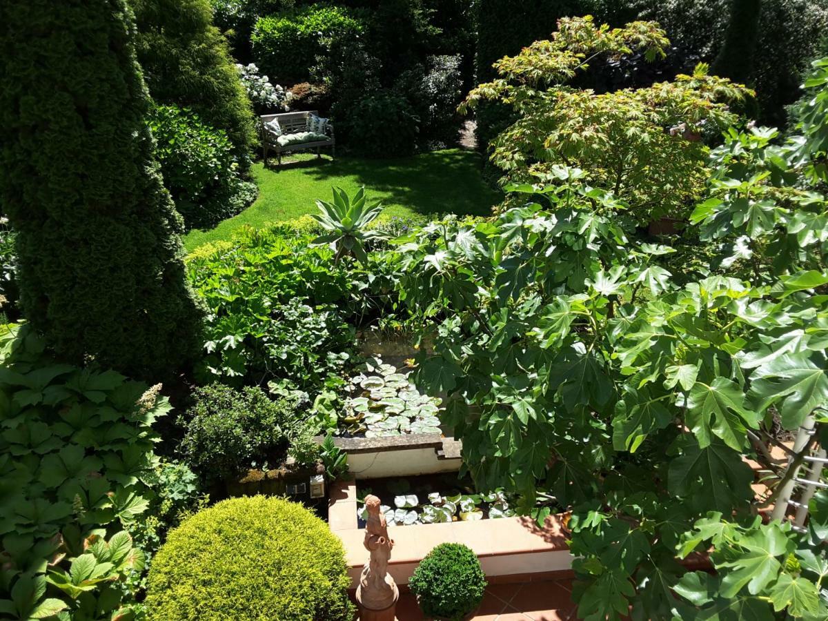 Homestay Luxurioeses Doppelzimmer In Oberkassel *